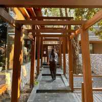 คาเฟ่ในเมืองเชียงใหม่ ที่ไม่ควรพลาด!