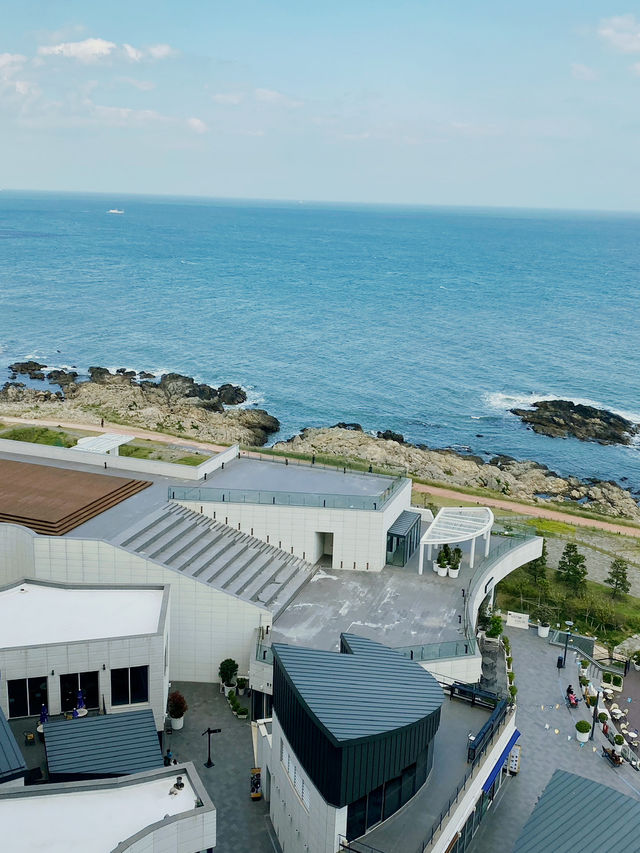 부산 바다를 온 몸에 품다! ’아난티 앳 부산 코브‘ 🌊💕