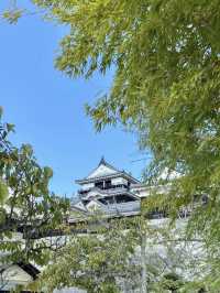 Matsuyama Castle, Japan