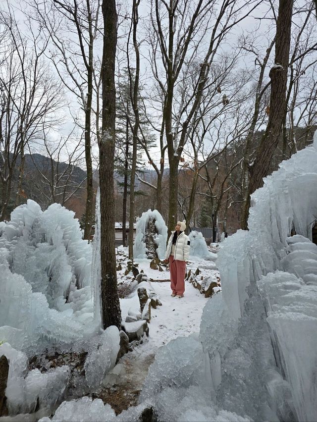 대전에서 빙벽을 볼 수 있는 곳💙