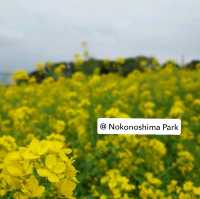 Solo Trip ไปเองไม่ง้อทัวร์ : 4 Days @ Kyushu