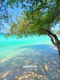 เที่ยวทะเลช่วงนี้แนะนำเกาะล้านเลยน้ำใสสีสวยมาก 