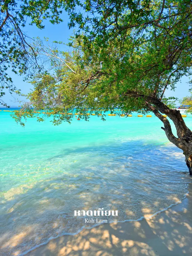 เที่ยวทะเลช่วงนี้แนะนำเกาะล้านเลยน้ำใสสีสวยมาก