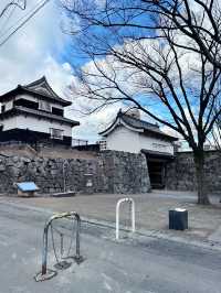 【福岡城】