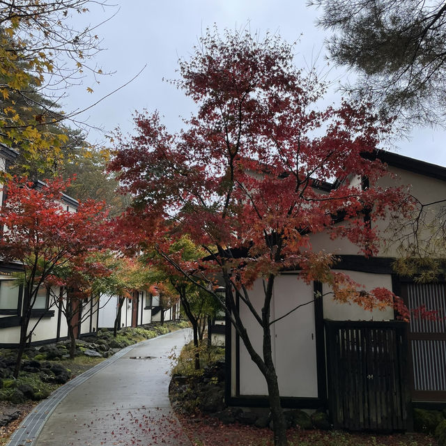 November Moments at the Foot of Fuji