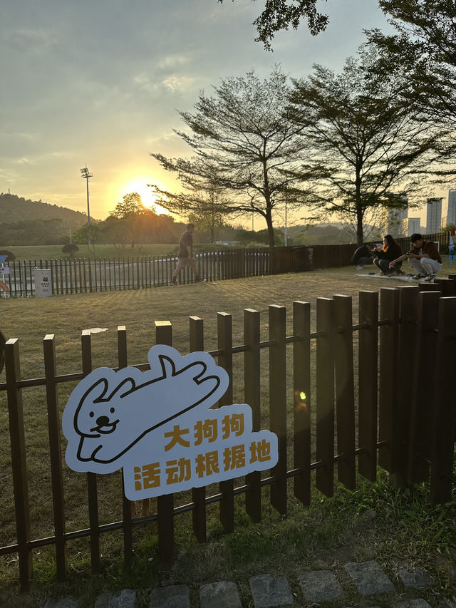深圳新開商場大運天地一日行程 深圳新開商場大運天地一日行程