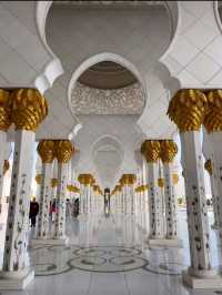An awesome visit to this beautiful mosque sheikh zayed 💜