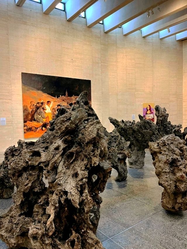 卡斯蒂利亞和萊昂當代藝術博物館