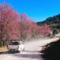 ภูลมโล