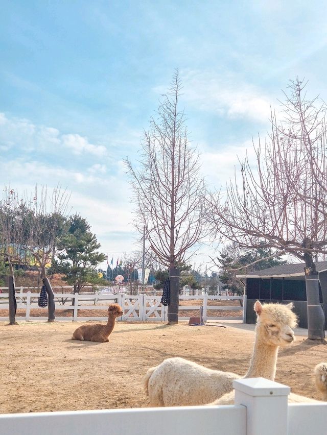 설 연휴에는 가족여행 추천지! 동물 먹이체험, 눈썰매, 키즈카페 모두 가능해요:)