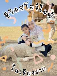 อาข่าฟาร์มวิลล์ จังหวัดเชียงราย