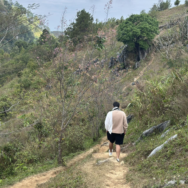Amazing ทะเลหมอก ที่ดอยผาตั้ง จังหวัดเชียงราย