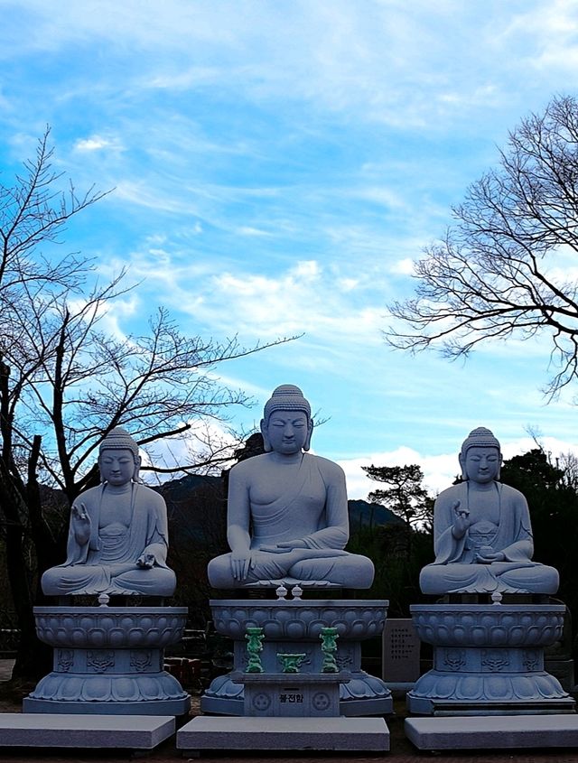 韓國大邱_秋意必訪 桐華寺Donghwasa Temple