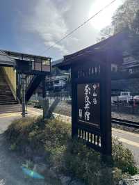 【長野】レトロな駅舎🚉沿線に梅が咲き誇る駅
