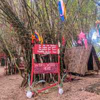 Have you ever been in this Bamboo Forest?
