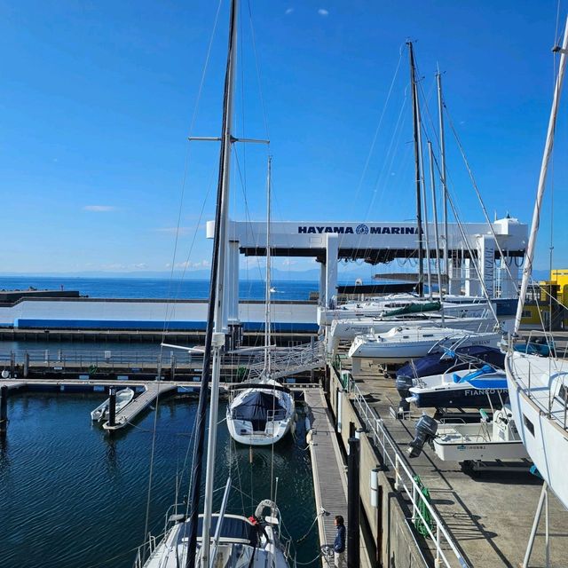 [葉山]海風が気持ち良いヨットハーバー&商業施設[葉山マリーナ]