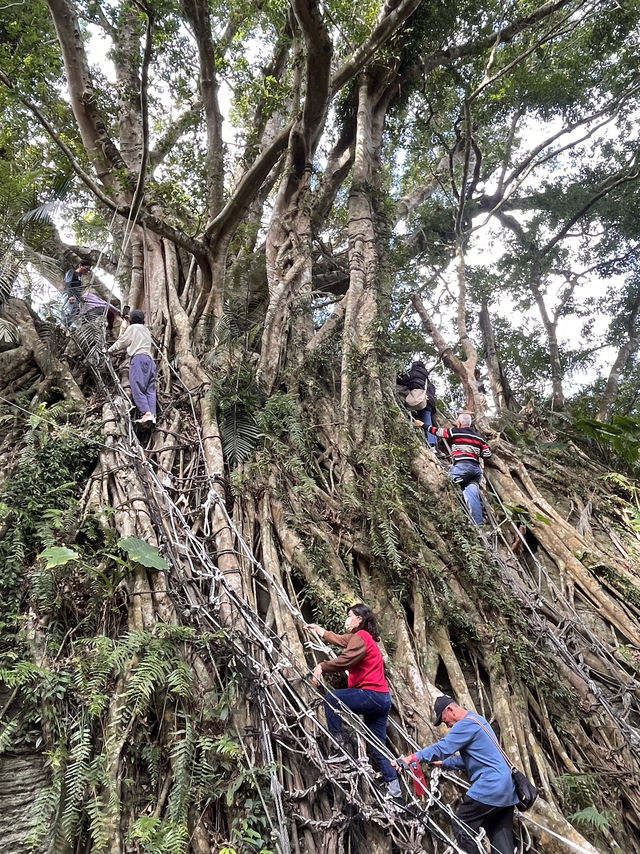 誰說台東很無聊🙄去過鸞山部落了嗎？