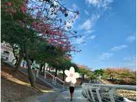 Solo Trip 5 Days @ เกาสง-อาลีซาน (Kaohsiung-Alisha