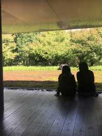 宇治｜欲知極樂必拜宇治御寺 平安時代的人間淨土-平等院