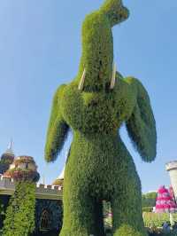 Dubai Miracle Garden