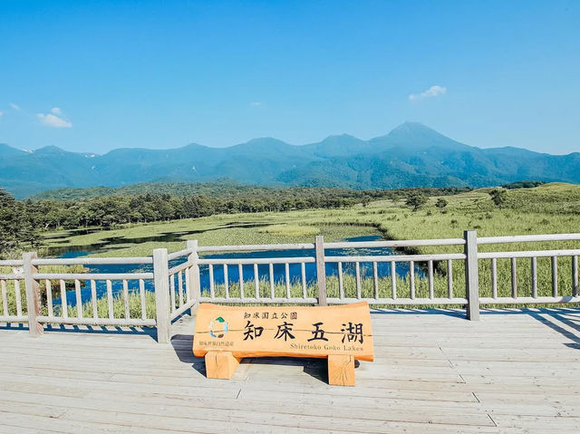 【北海道】知床五湖の歩き方をご紹介