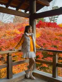 Tofukuji Temple หนึ่งในจุดชมใบไม้เปลี่ยนสีเกียวโต🍁