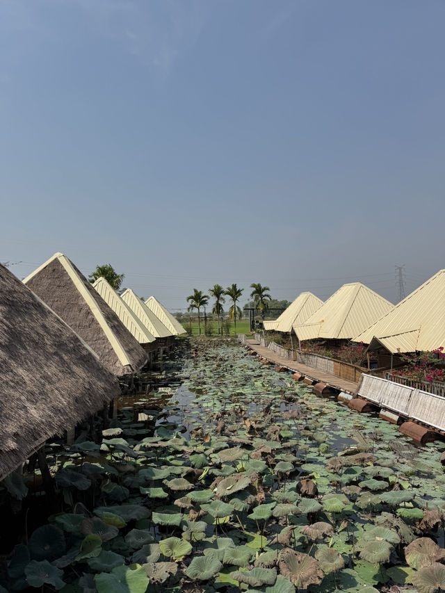A 5-Day Adventure in Siem Reap: Exploring Culture, History & Local Delights