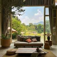Serene House Cafe 