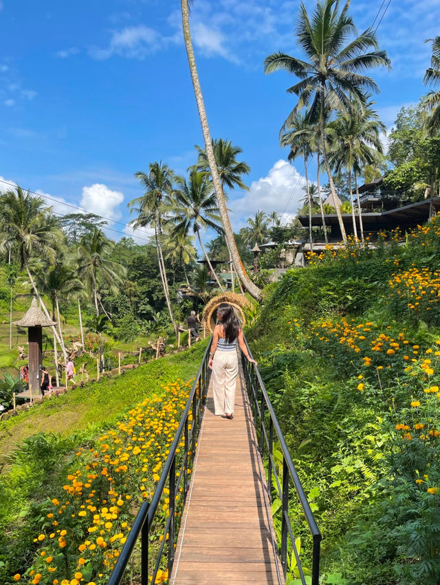 Unfiltered beauty of Ubud
