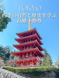 五重塔が美しい！四季折々の自然が楽しめる高幡不動尊