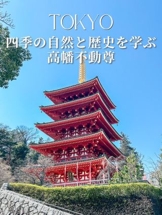 五重塔很美！在高幡不動尊享受四季不同的自然風光