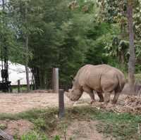 Night Safari แบบเที่ยวกลางวัน 