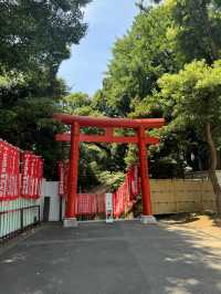 2 Days Quick and packed with Tokyo’s best!