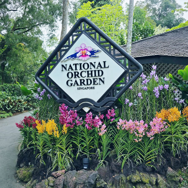 A Floral Paradise at Singapore’s National Orchid Garden 🇸🇬