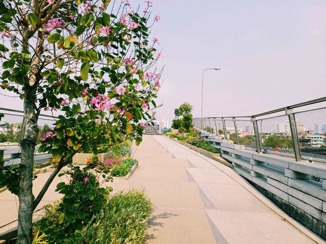 泰國曼谷湄南河畔關帝廟、昭披耶天空公園、佩雲寺、網紅拍照📸餐廳一日遊行程，適合拍照📸打卡