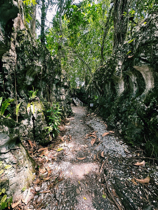 Paku Rock Maze Garden: A Nature Lover’s Puzzle