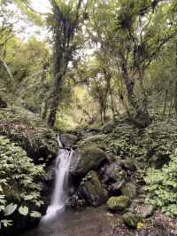 宜蘭抹茶山健行（台灣）