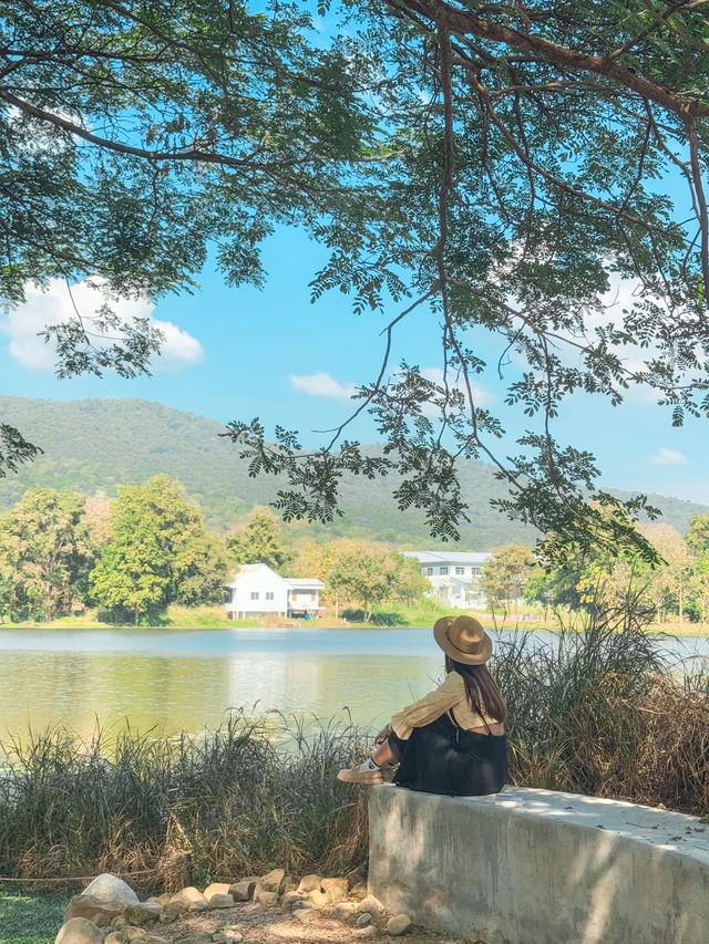 Fernpresso at lake คาเฟ่ vibe ดีย์ในเมืองเชียงใหม่