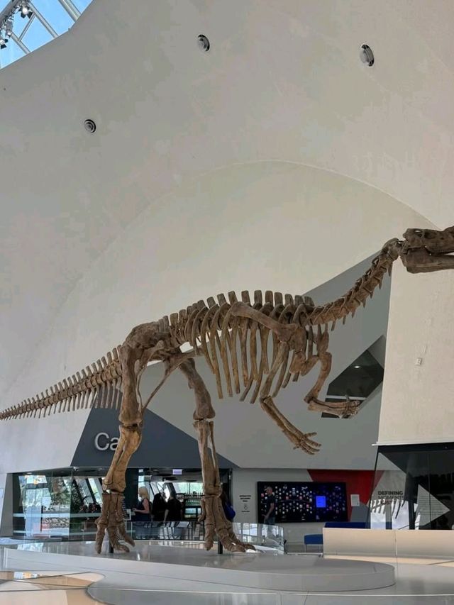 🏛️ Unveil History at the National Museum of Australia! 🇦🇺