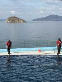 四國水族舘