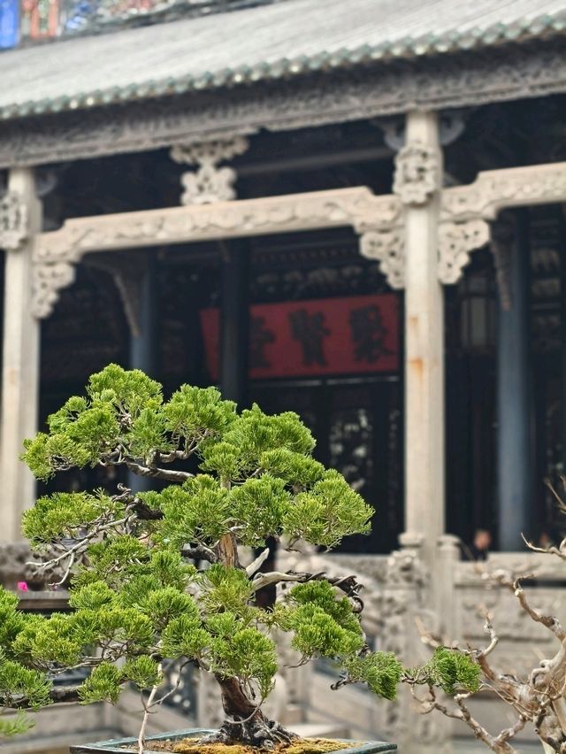 5 Day 4 Night Guangzhou Getaway in Canton Style
