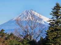休閒玩樂之旅