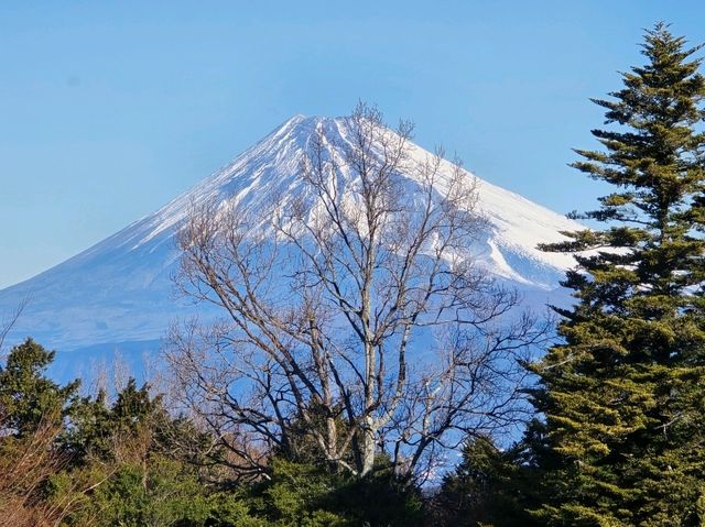 休閒玩樂之旅