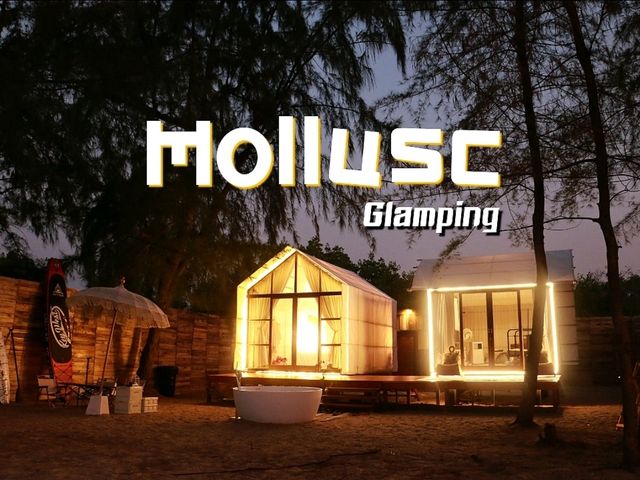 Mollusc Glamping ที่พักติดทะเล