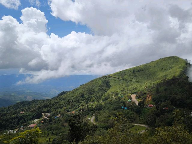 Doi Pha Tang: Hidden gem in northern Thailand