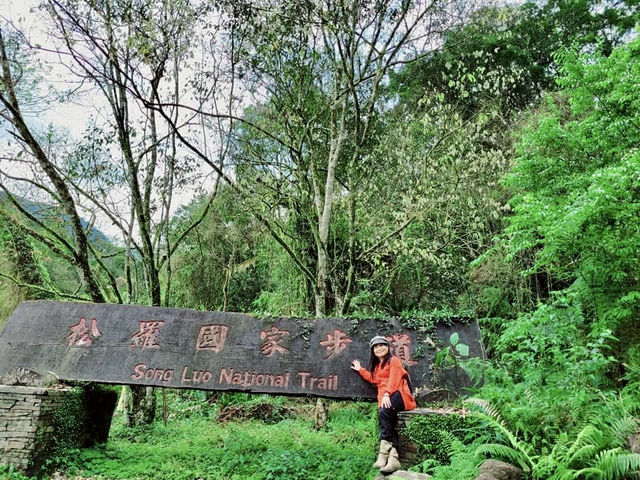 宜蘭櫻緣青邨及松羅國家步道輕鬆遊