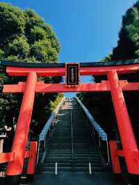 久留米の絶景スポット！高良大社💫
