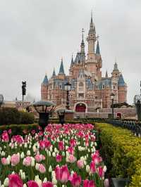 [Shanghai] 7 สิ่งที่ต้องรู้ก่อนไป จะได้ไม่พลาด!