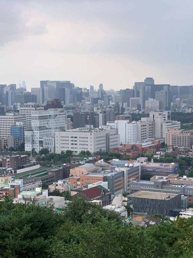 駱山公園的心靈漫步：一段難忘的旅程🌄