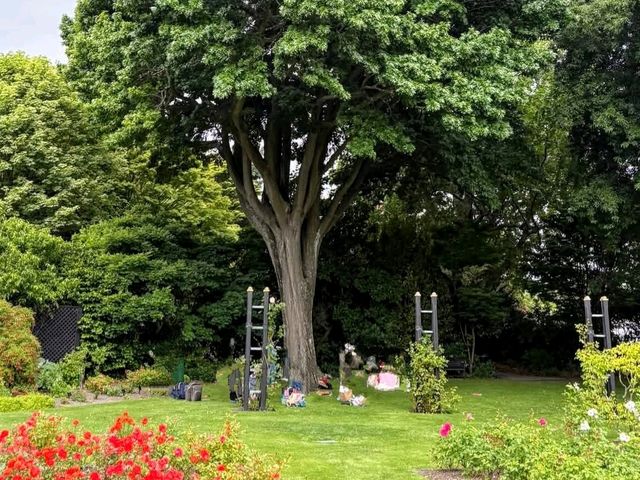 Mona Vale Garden Park，基督城內小巧精緻的古典花園